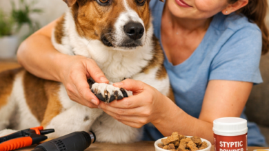 How to Cut Dog Nails: Tips for Beginners and Nervous Dogs