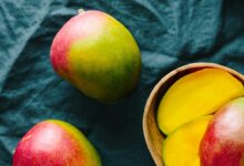 Dried Mango vs Fresh Mango: Nutritional Comparison